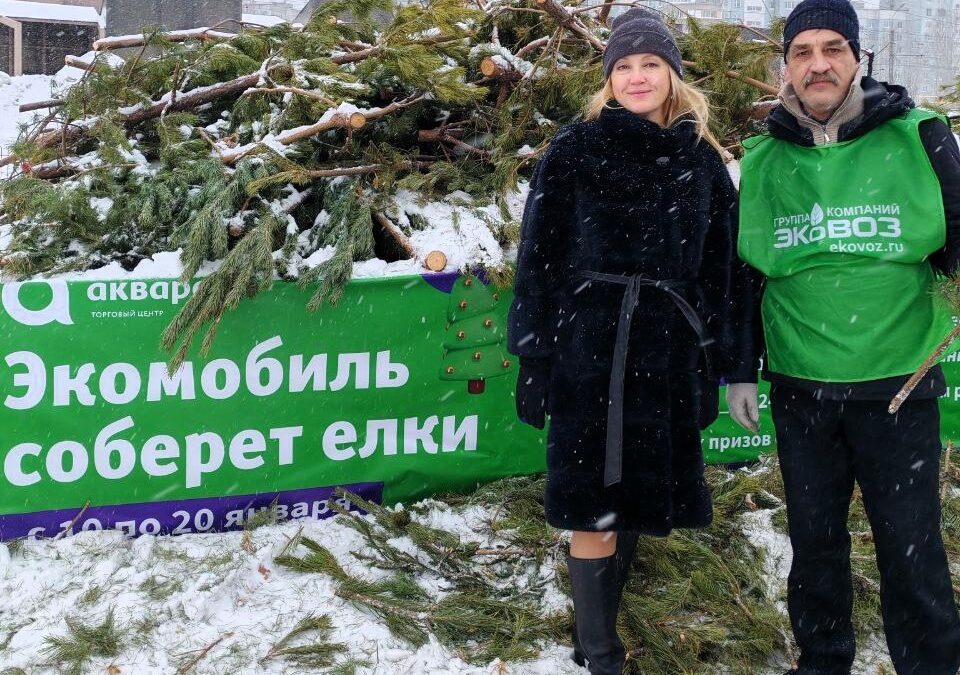 🎄За 12 дней акции «Добрые Ёлки» мы собрали более 1,5 тысяч хвойных на переработку ♻
