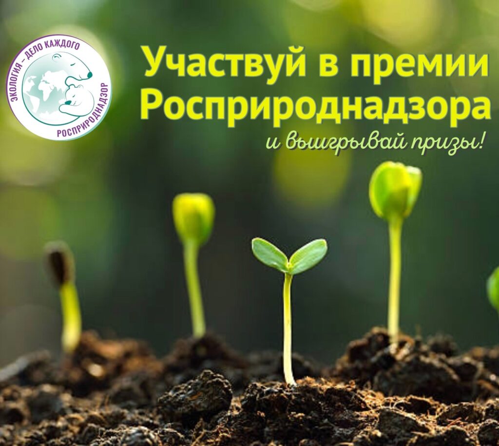 Путёвки на море, гаджеты, денежные сертификаты и дополнительные баллы к ЕГЭ!