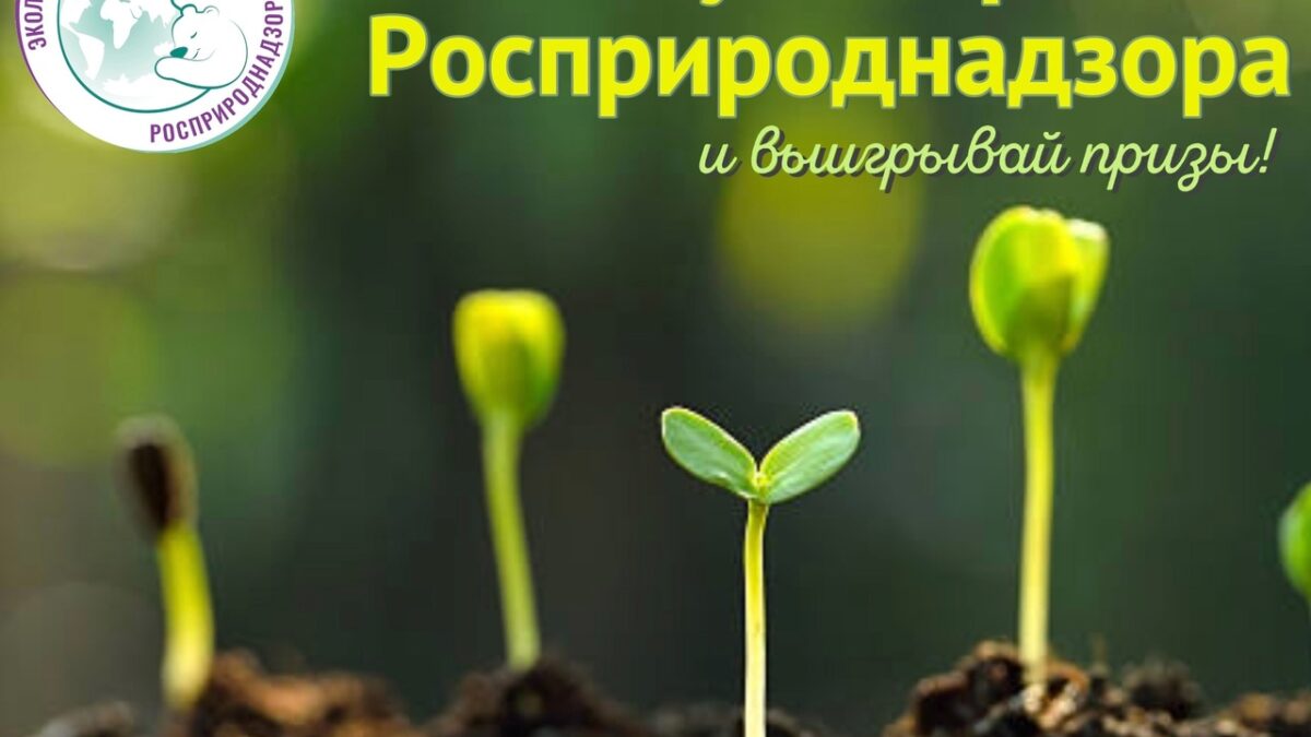 Путёвки на море, гаджеты, денежные сертификаты и дополнительные баллы к ЕГЭ!