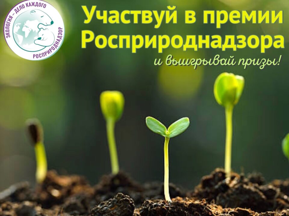 Путёвки на море, гаджеты, денежные сертификаты и дополнительные баллы к ЕГЭ!