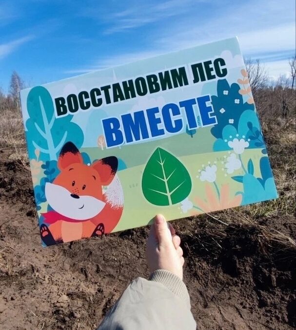 Вчера лес Тольятти стал зеленее!