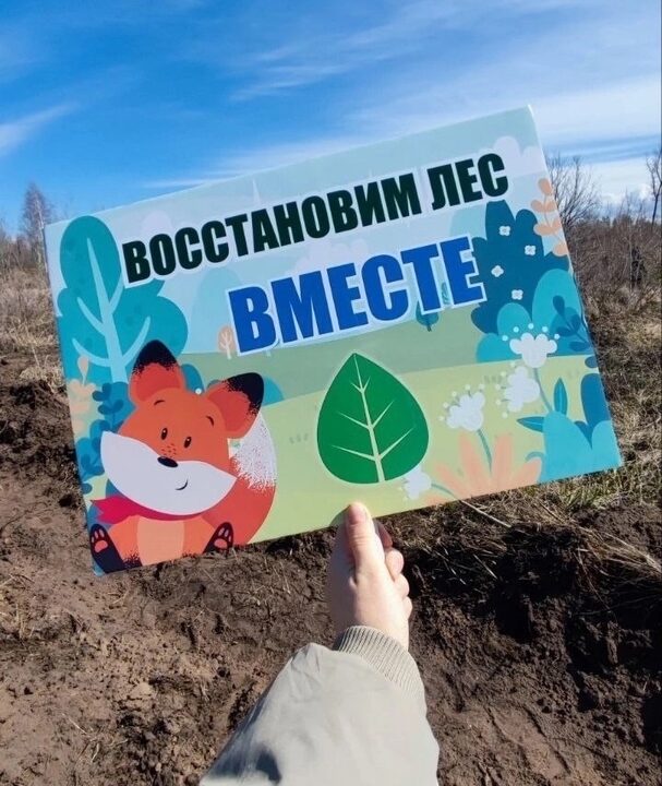 Вчера лес Тольятти стал зеленее!