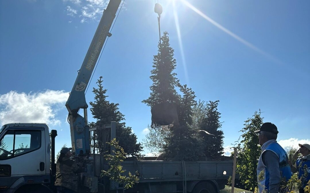Российский день леса мы отметили не словами, а делом!