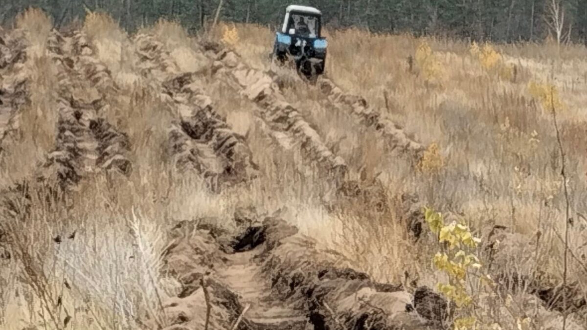 Подготовка к посадке леса!