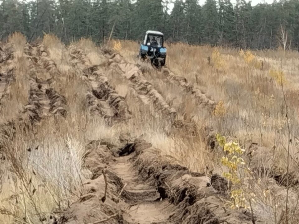 Подготовка к посадке леса!