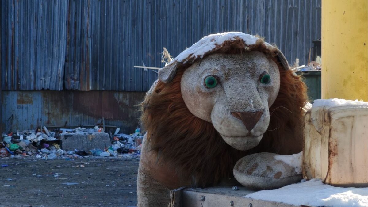 Распродажа и неперерабатываемый мусор на полигонах!