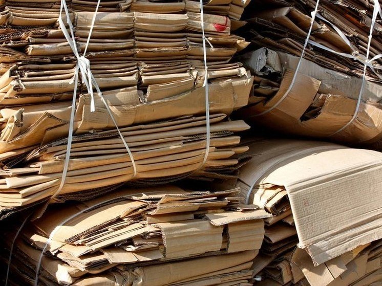 ♻️ Сегодня Всемирный день без бумаги