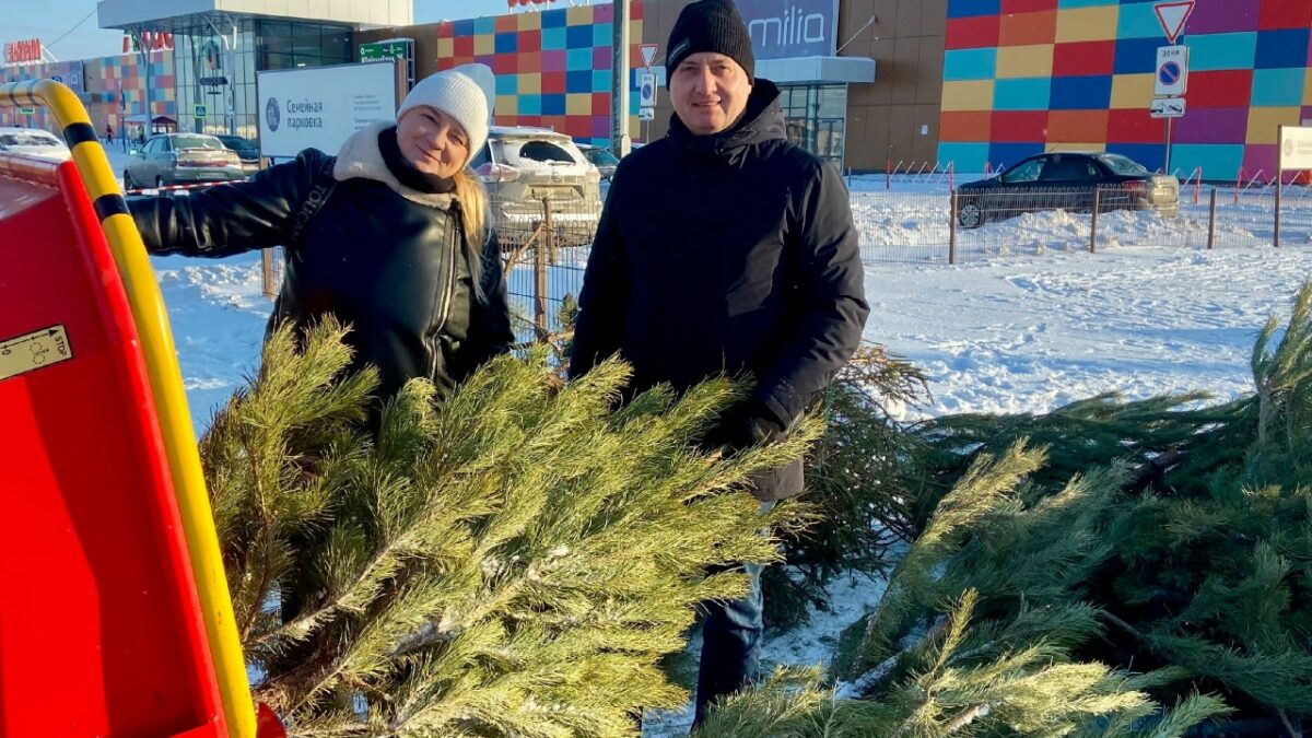 За январь «Добрые Ёлки» собрали 250 хвойных на переработку