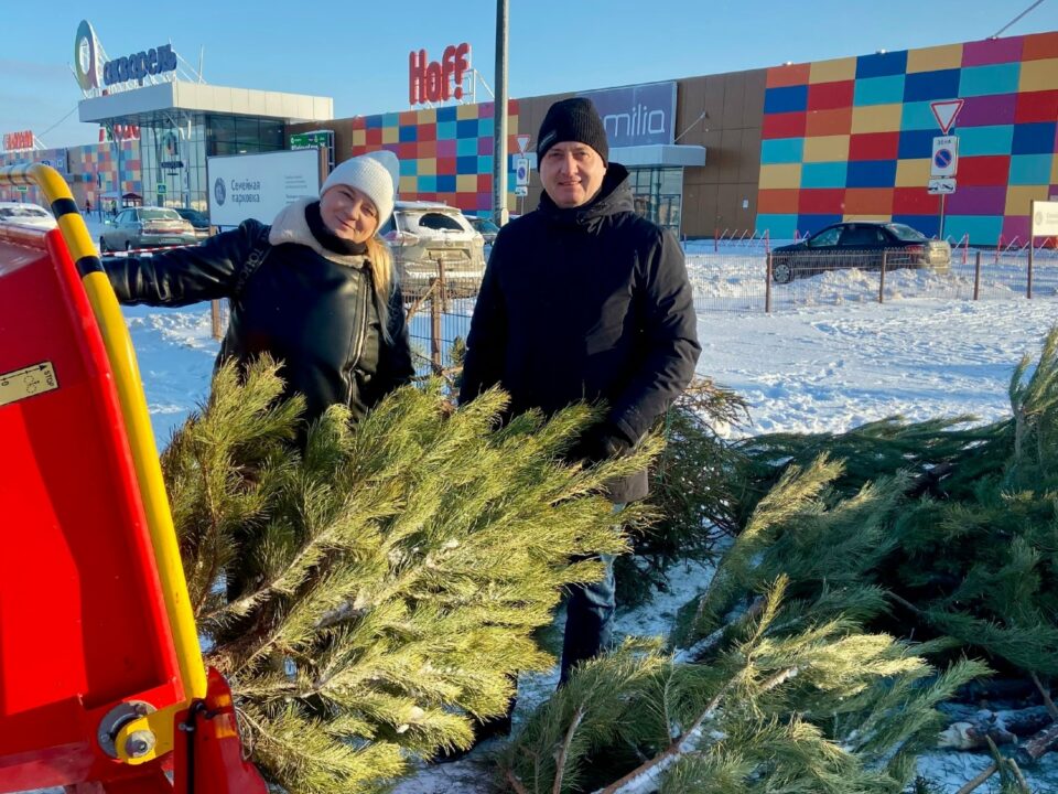За январь «Добрые Ёлки» собрали 250 хвойных на переработку