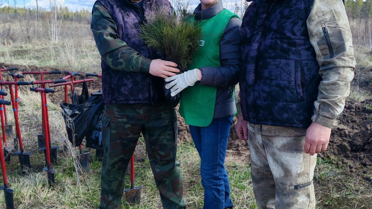Посади лес сегодня, чтобы увидеть его завтра.