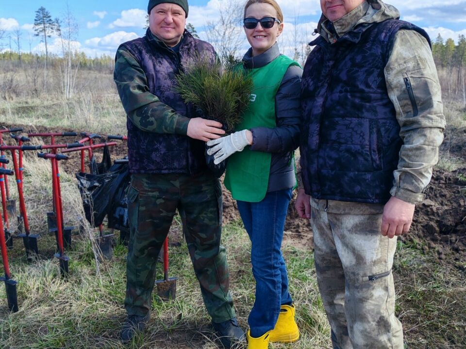 Посади лес сегодня, чтобы увидеть его завтра.