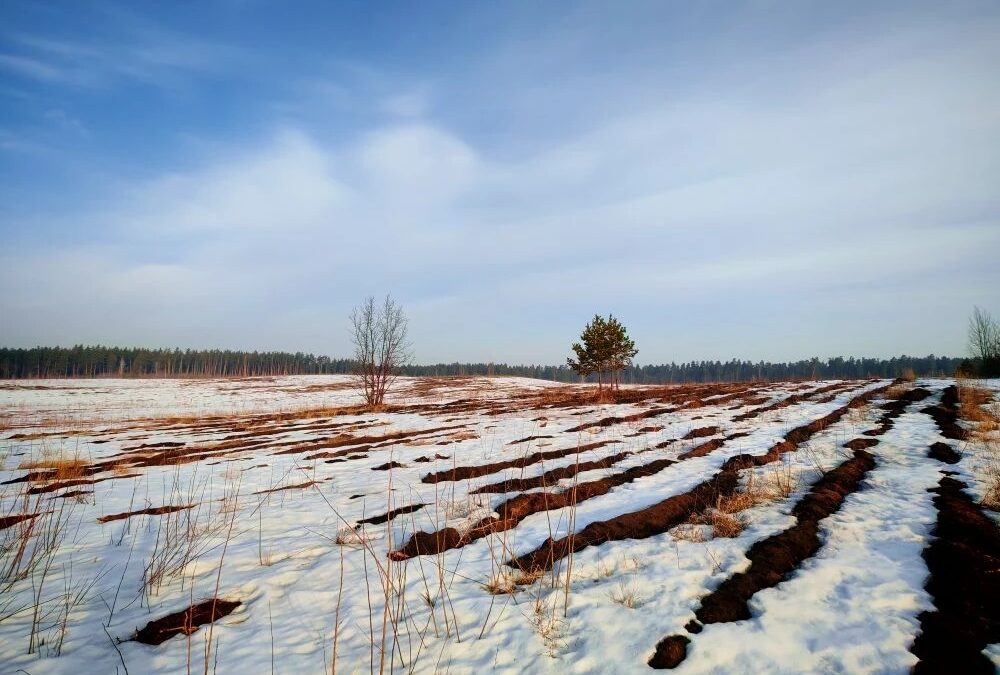 🚀 Весна набирает обороты!