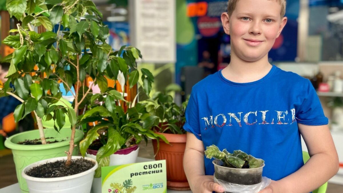 Зелёная Точка - 2026 ♻