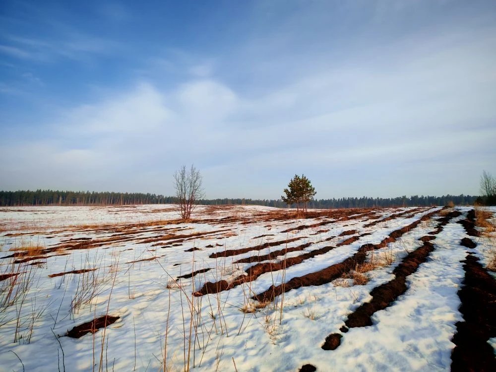 🚀 Весна набирает обороты!