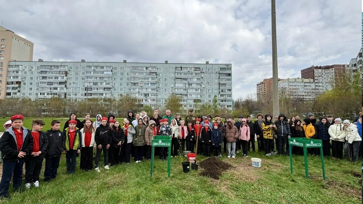 С нас озеленение школы, с ребят - пятёрки!